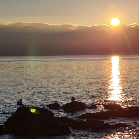 Mobil-Home - Quiberon - Vue Sur Mer ภายนอก รูปภาพ